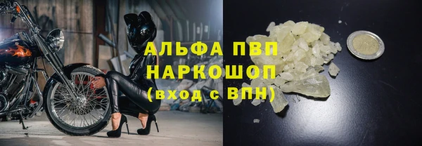 apvp Ельня