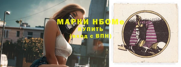 apvp Ельня