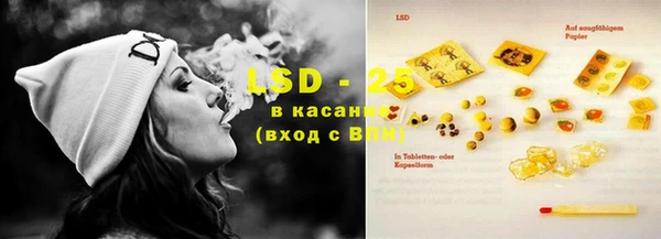 apvp Ельня