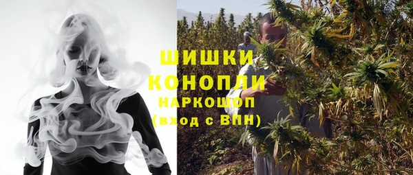 apvp Ельня