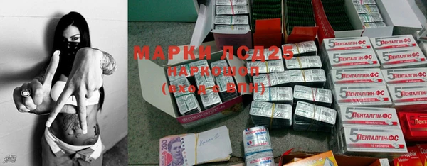 apvp Ельня