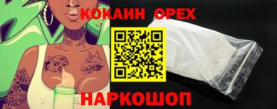 крисы Коммунар