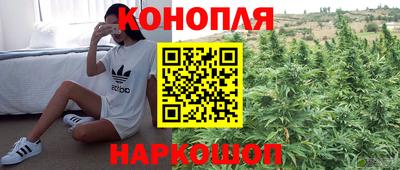 крисы Коммунар