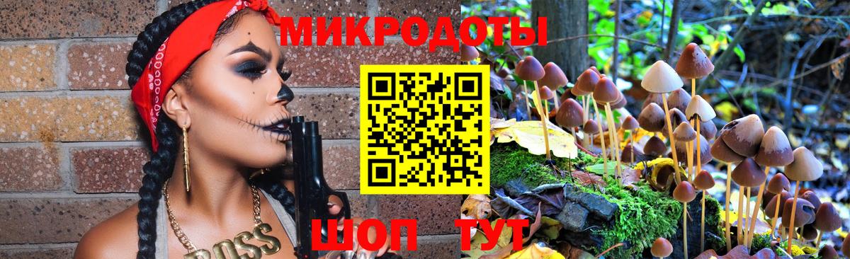 Галлюциногенные грибы мухоморы  Северобайкальск 