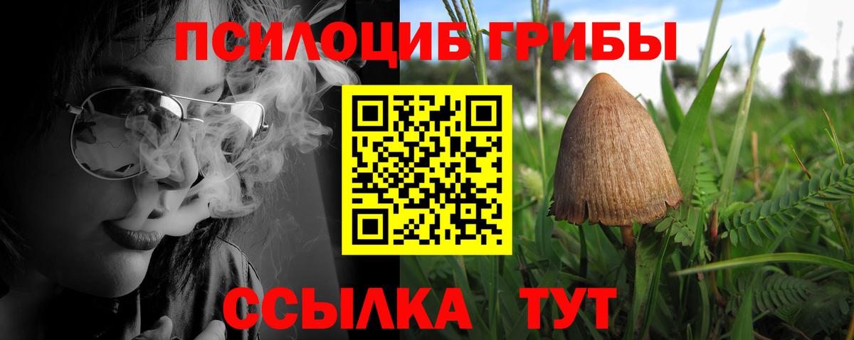 Галлюциногенные грибы ЛСД Северобайкальск